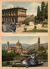 Firenze cats